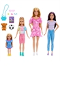 Barbie Sisters Dolls and Accessories Giftset