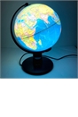 25cm Globe Light