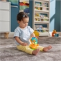 Fisher-Price Link Squad Opposites Fox