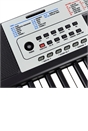 54 Key Electronic Keyboard SM54K
