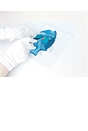 Dissect-it Anatomy Kit Mega Lab Rattlesnake and Piranha