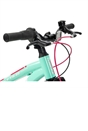 20 Inch Team Mountain Bike in Mint and Pink