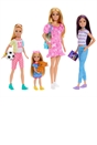 Barbie Sisters Dolls and Accessories Giftset