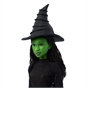 Wicked 30cm Singing Elphaba Fashion Doll