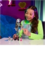 Monster High Frankie Stein Doll with Pet & Accessories