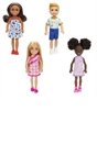 Barbie Chelsea Doll Assortment