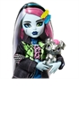 Monster High Frankie Stein Doll with Pet & Accessories