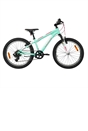 20 Inch Team Mountain Bike in Mint and Pink