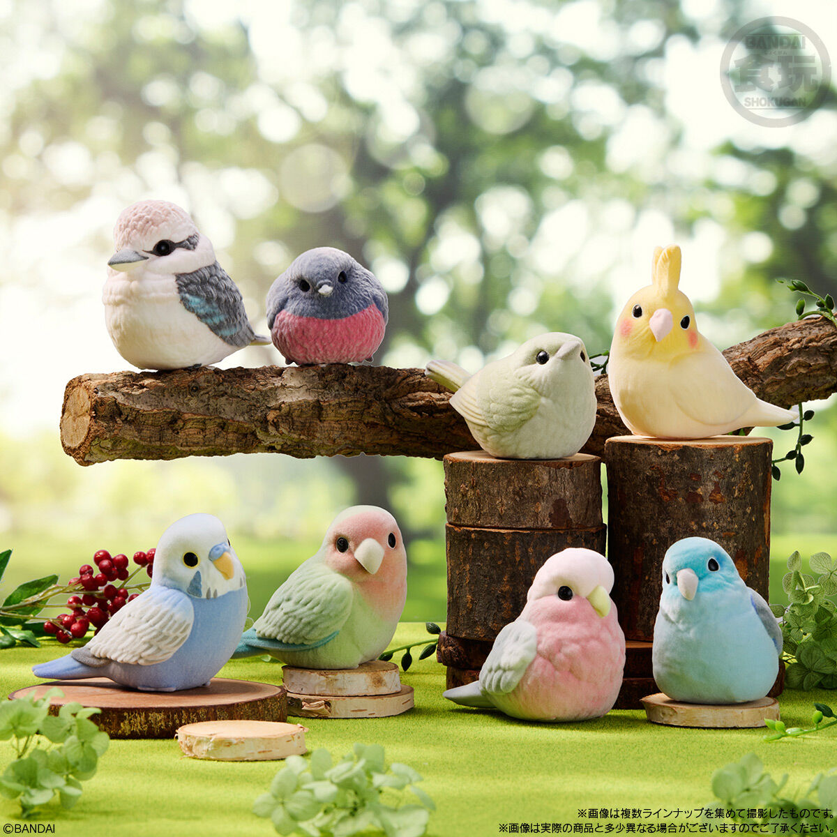 Mofu Mofu Tenori Friends Bird Figure Assortment