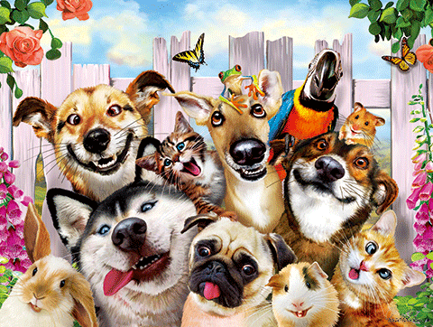 Pets Selfie 500 Piece 3D Puzzle