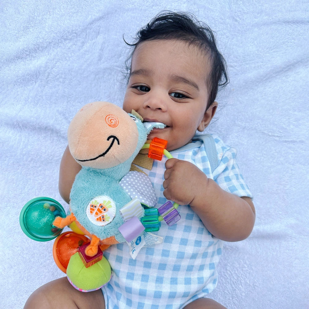 Playgro Clip Clop Activity Rattle Blue