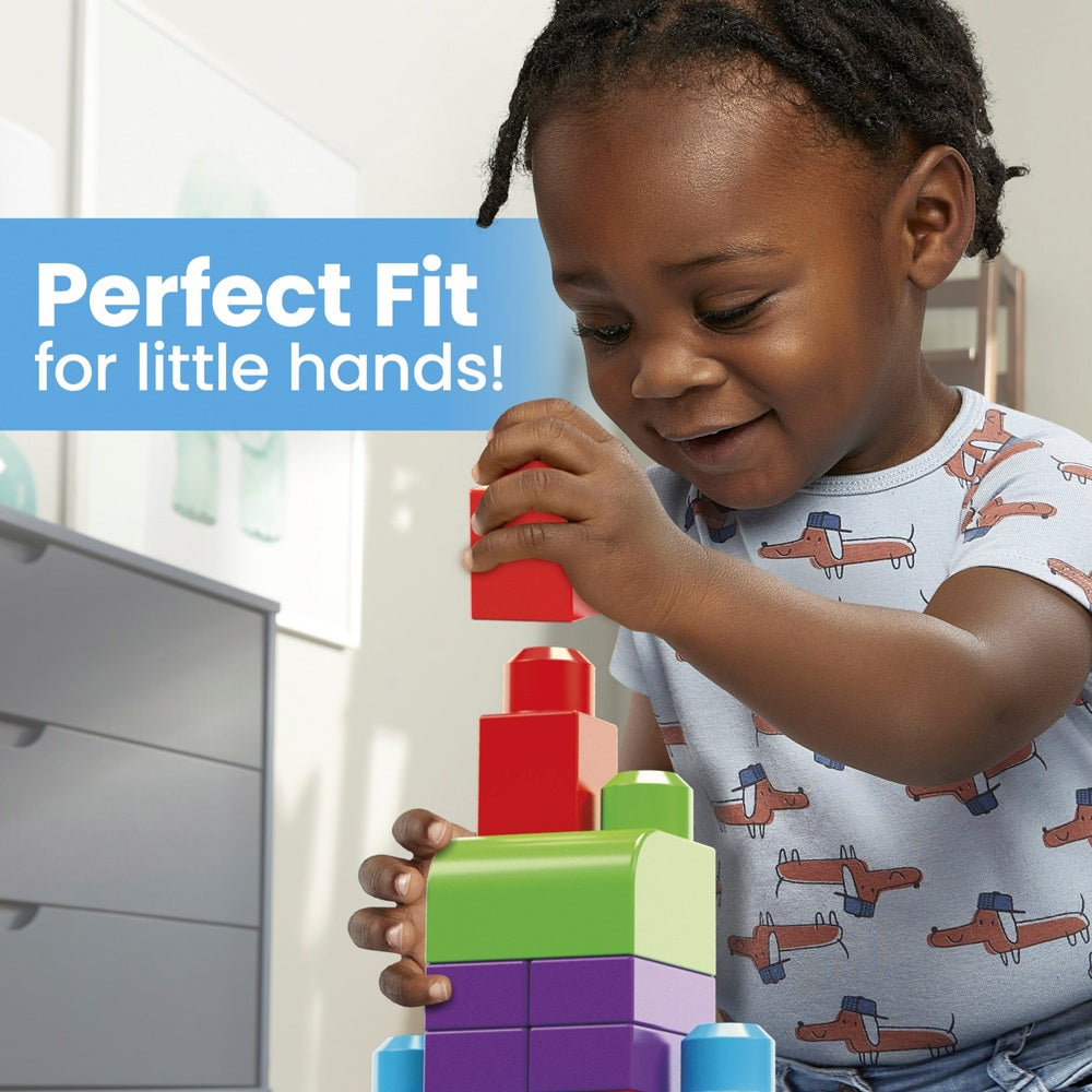 Mega Bloks First Builders Big Building Bag