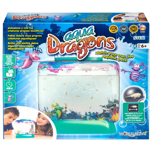 Aqua Dragons Underwater World