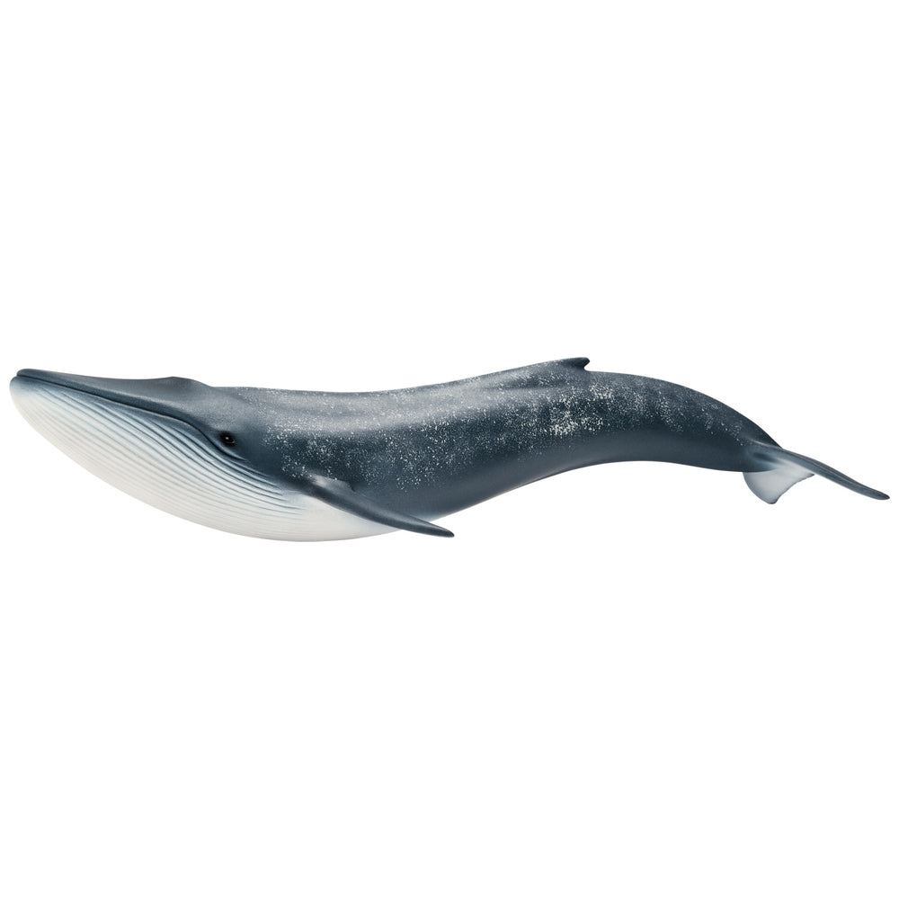 Schleich Wild Life 14806 Blue Whale Figure