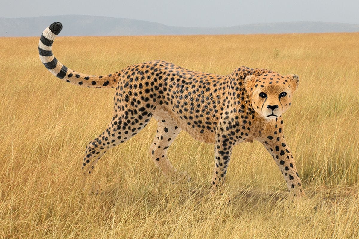 Schleich Wild Life Cheetah, Female