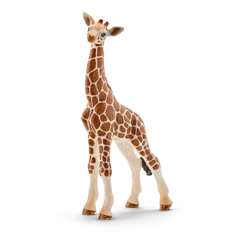 Schleich Wild Life 14751 Giraffe Calf