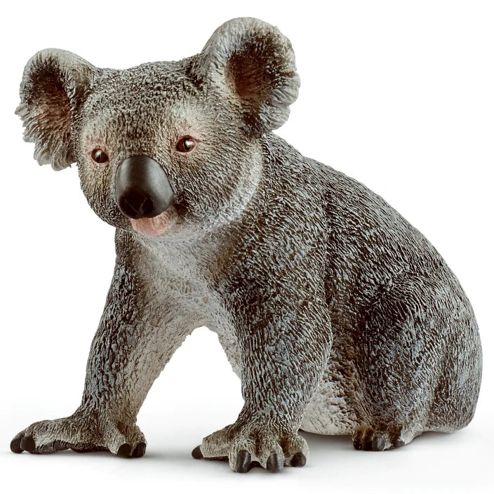 Schleich Wild Life Koala Bear