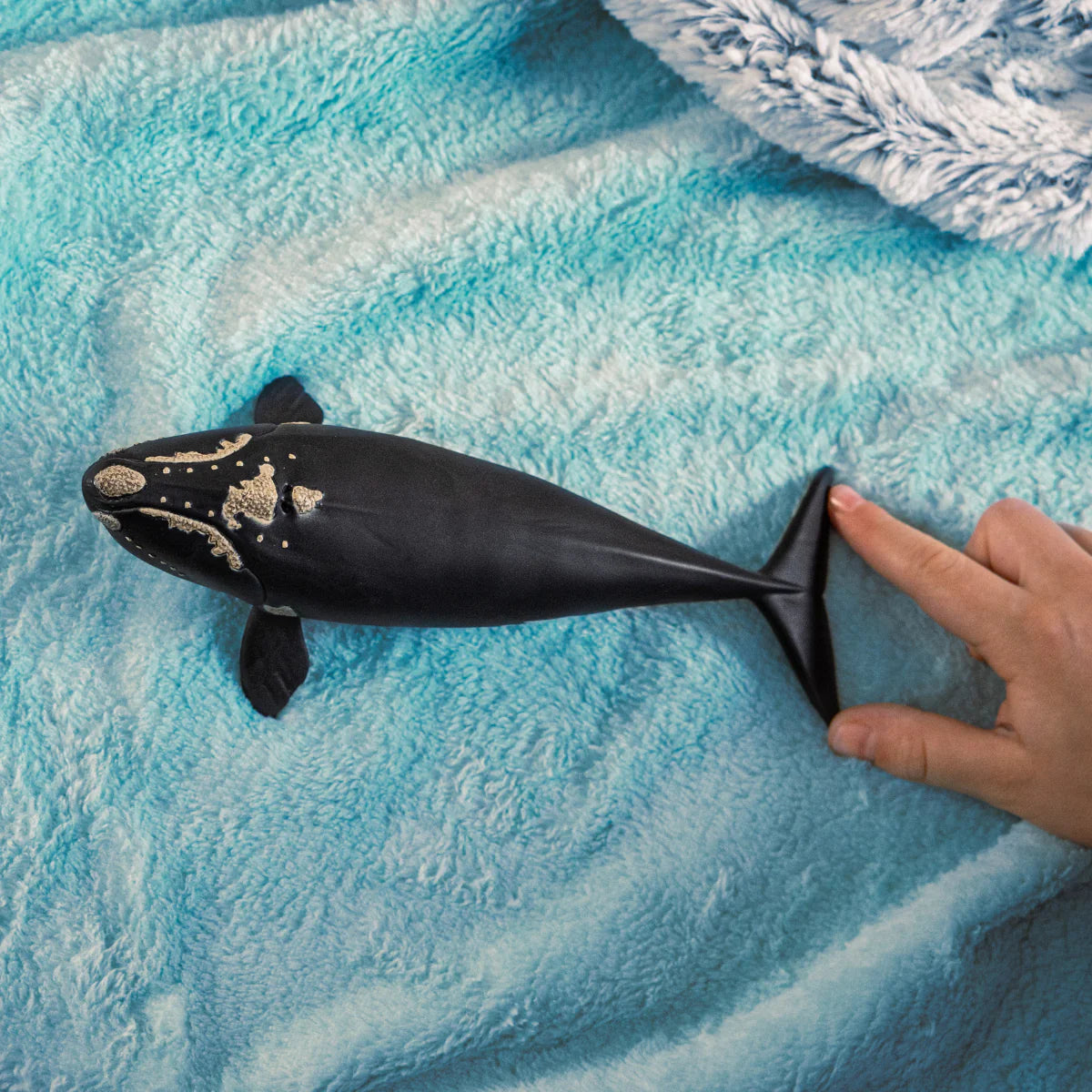 Schleich North Atlantic Right Whale
14878