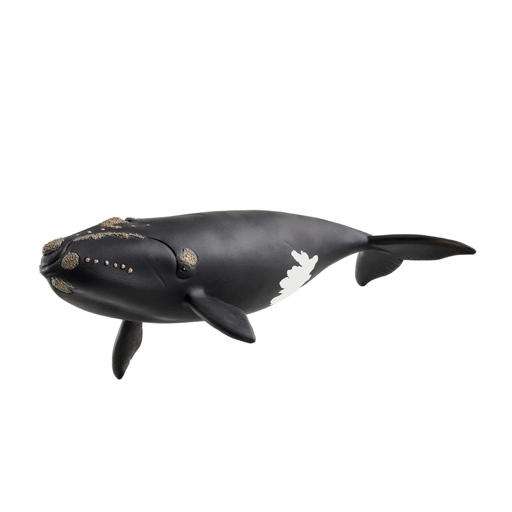 Schleich North Atlantic Right Whale
14878