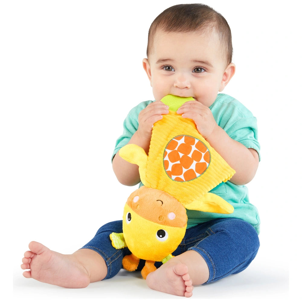 Bright Starts Snuggle & Teethe Soft Teething Toy Assortment