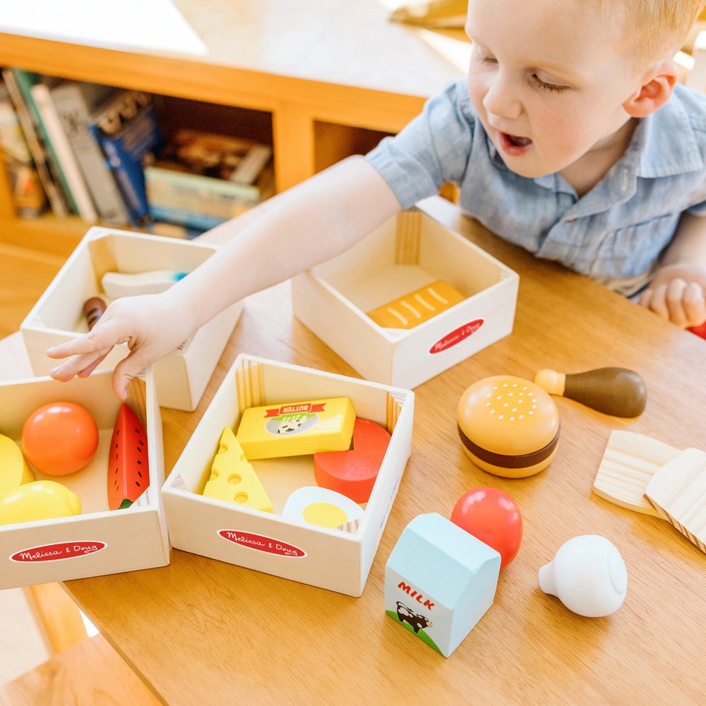 Melissa & Doug Wooden Food Groups Set