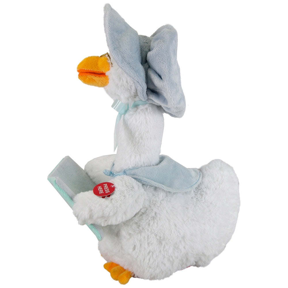 Storytelling Mother Goose