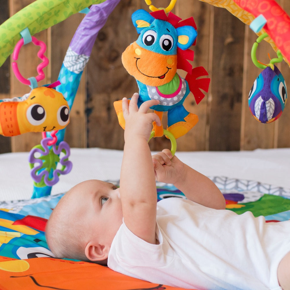 Playgro Clip Clop Activity Gym With Music