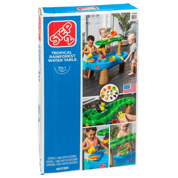 Tropical Rain Forest Water Table