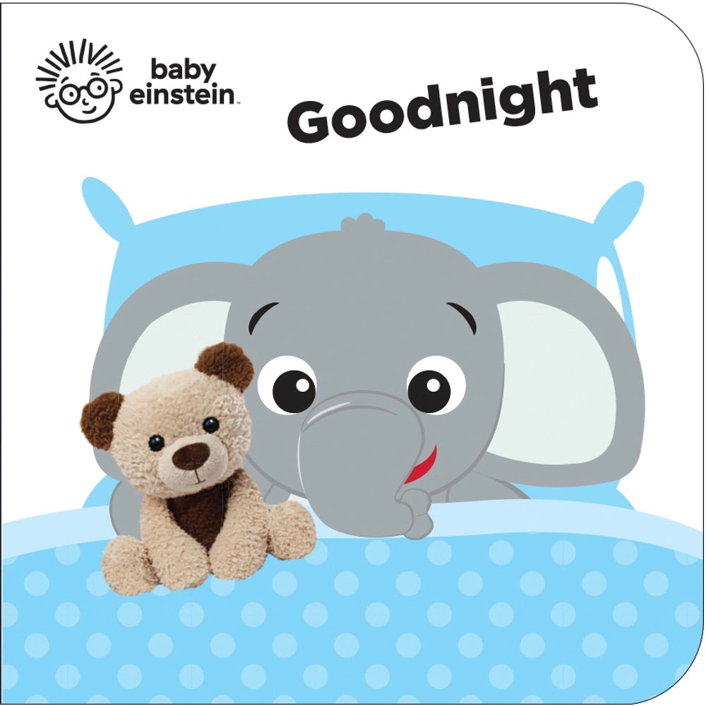 Baby Einstein My First Library Board Book Set