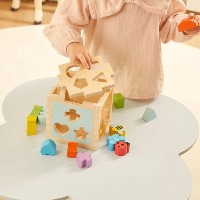 Squirrel Play Wooden Sorting Cube