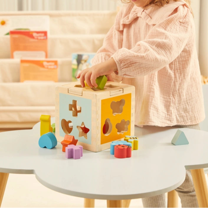 Squirrel Play Wooden Sorting Cube