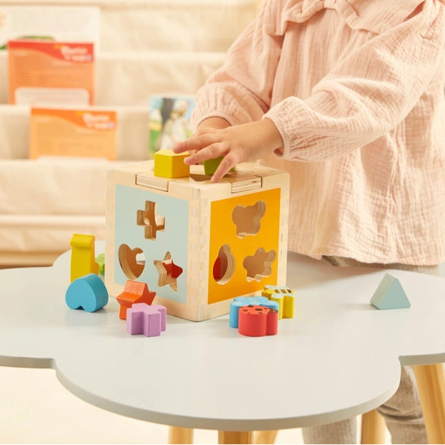 Squirrel Play Wooden Sorting Cube