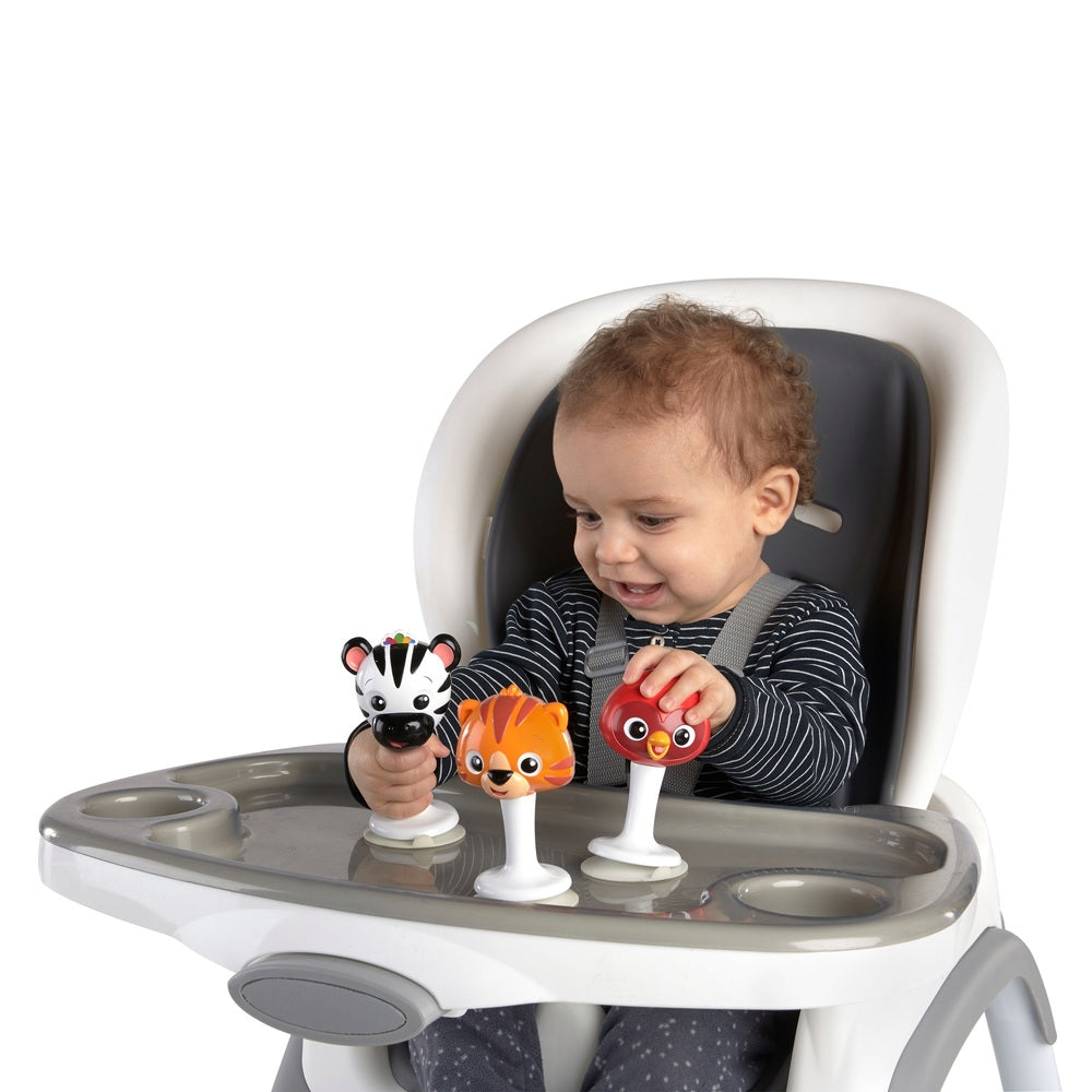 Baby Einstein Rattle & Jingle Trio Take -Along Toy