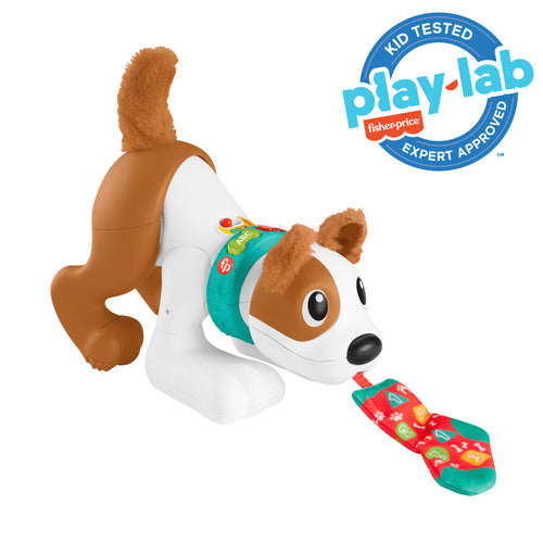 Fisher Price 123 Crawl With Me Puppy