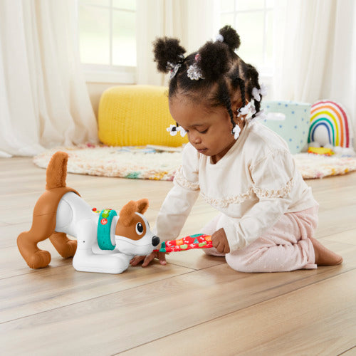Fisher Price 123 Crawl With Me Puppy