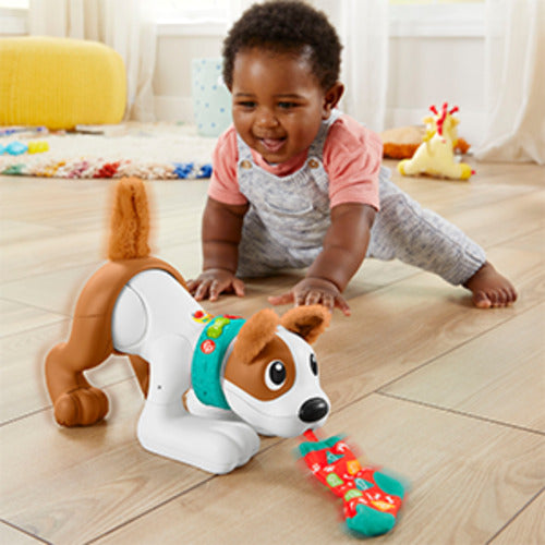 Fisher Price 123 Crawl With Me Puppy