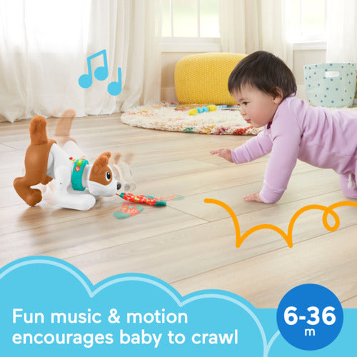 Fisher Price 123 Crawl With Me Puppy