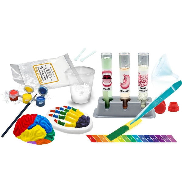 Wild Science The Amazing Human Body Set