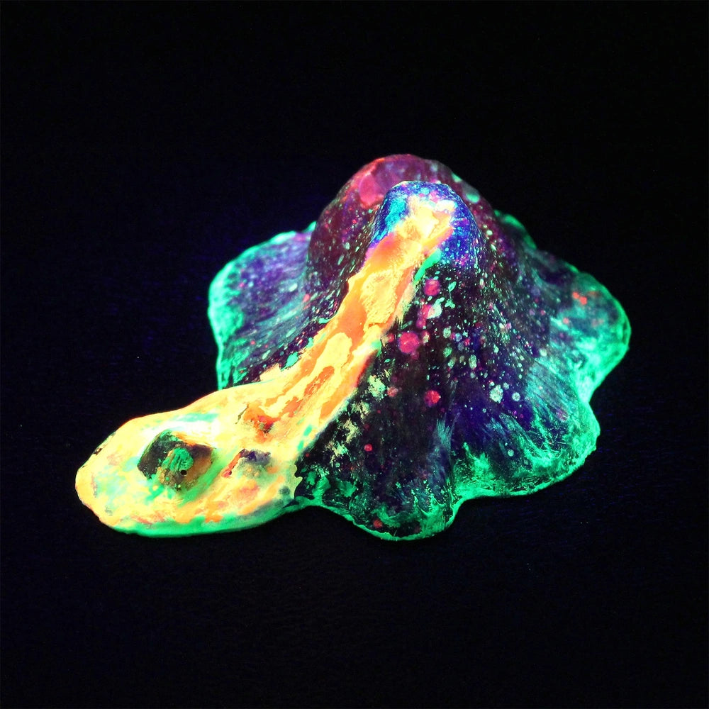 Wild Science Kit Lava Lab Rainbow Volcano Glow-In-The-Dark Set