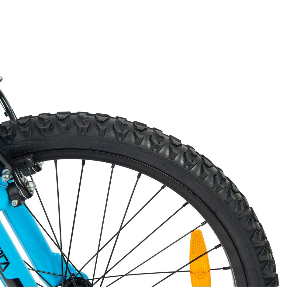 20 Inch Avoca Boys Black Mountain Bike