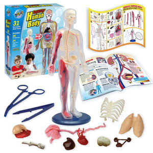 Wild Science Hands-On Human Body