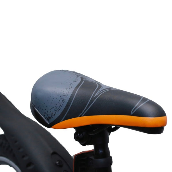 20 Inch Outland Mountain Bike