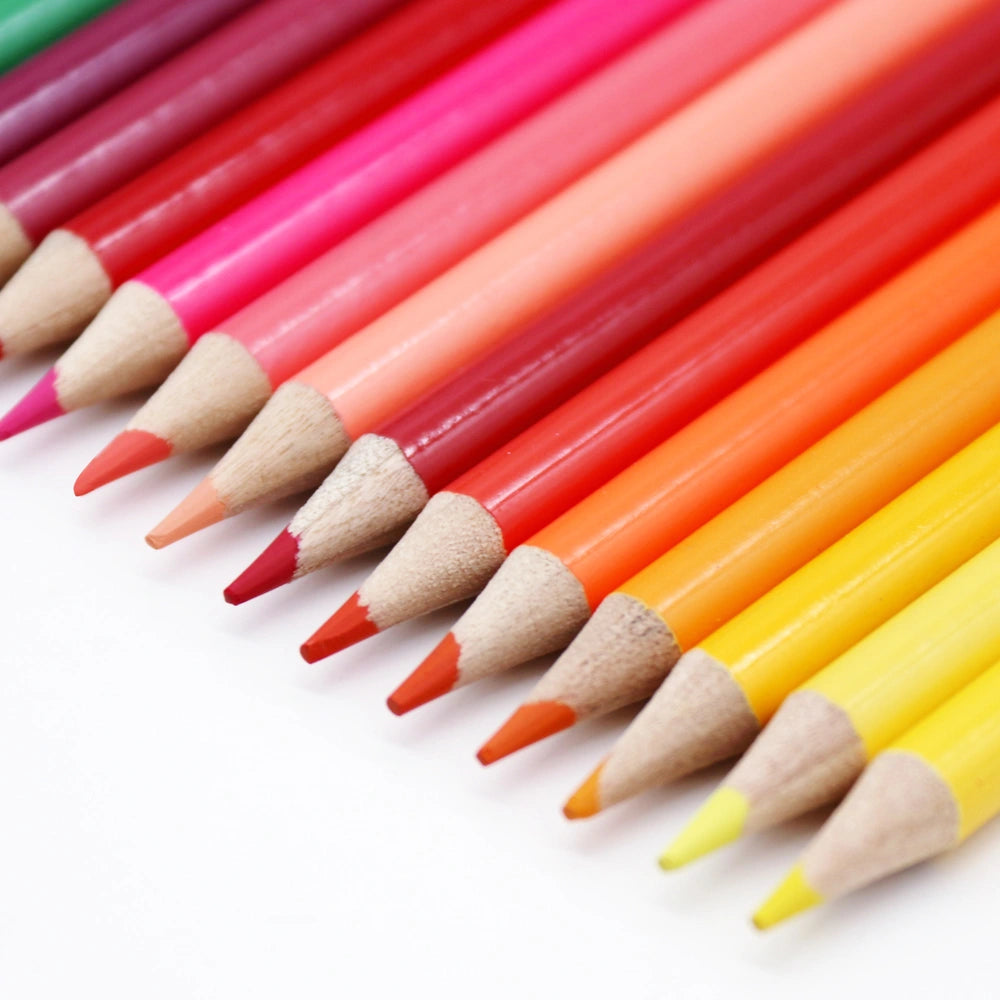 Crafty Co. Coloured Pencils 36 Pack