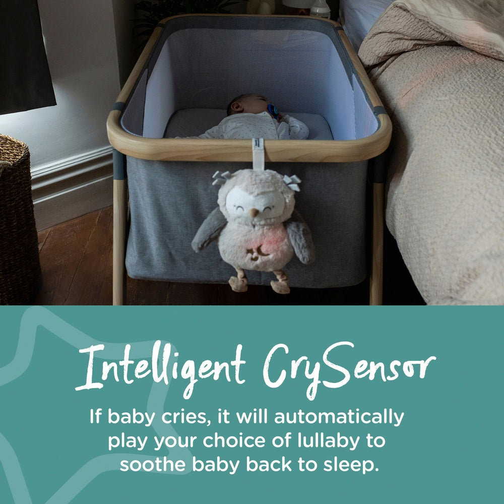 Tommee Tippee Ollie The Owl Deluxe Light And Sound Baby Sleep Aid