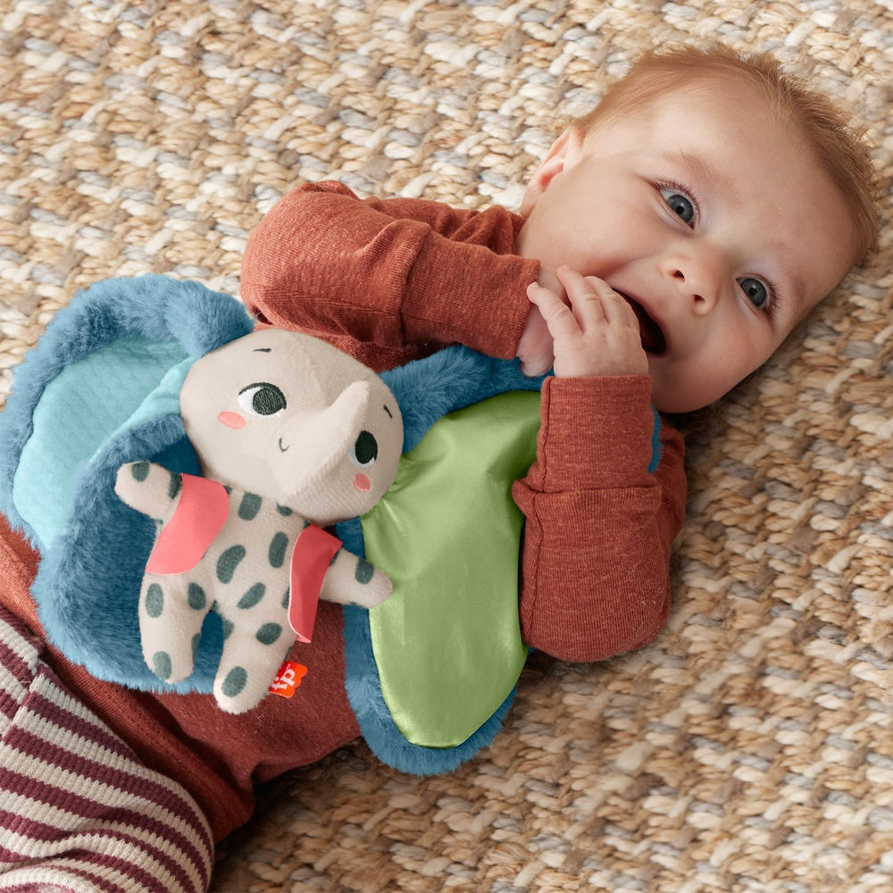 Fisher Price All Ears Lovey
