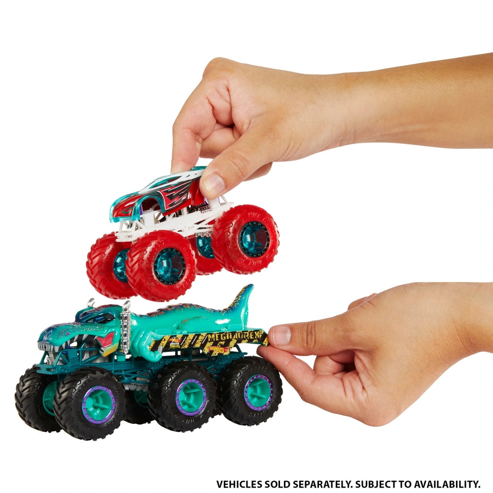 Hot Wheels 1:64 Monster Trucks Big Rigs Vehicle Assortment