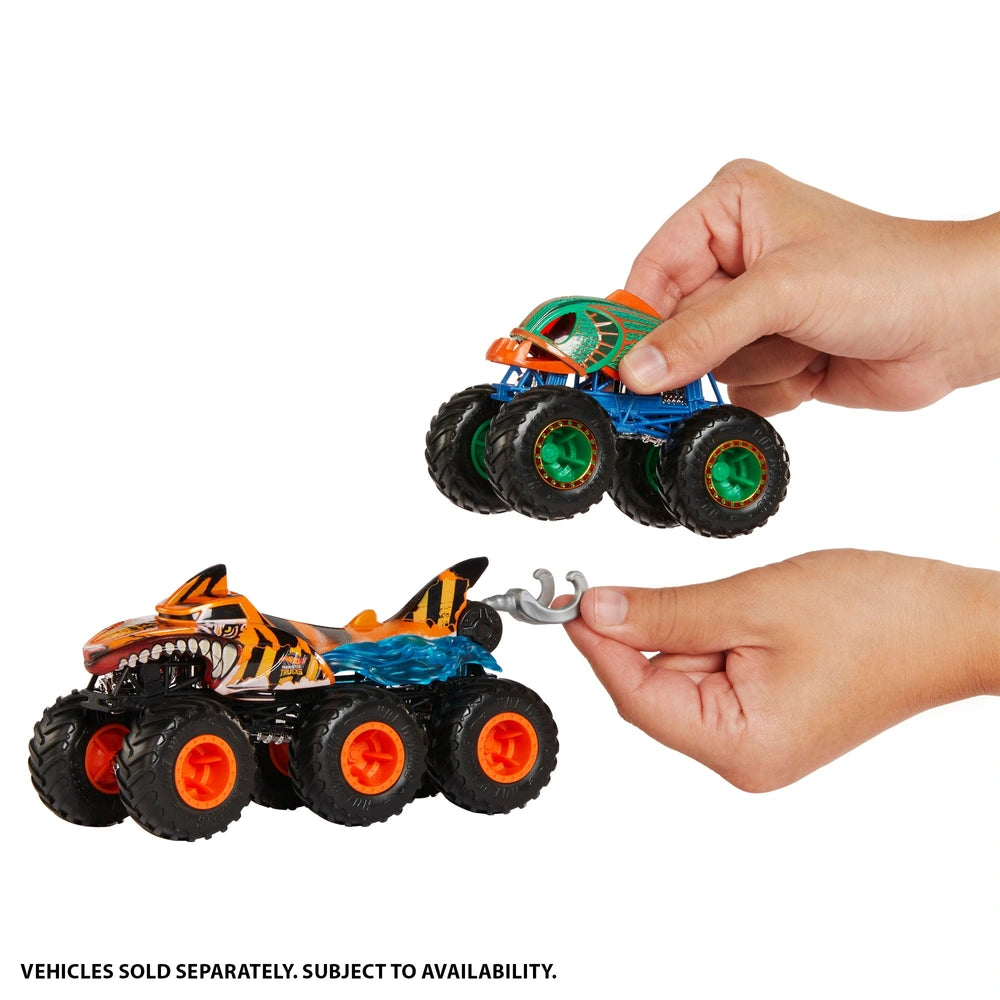 Hot Wheels 1:64 Monster Trucks Big Rigs Vehicle Assortment