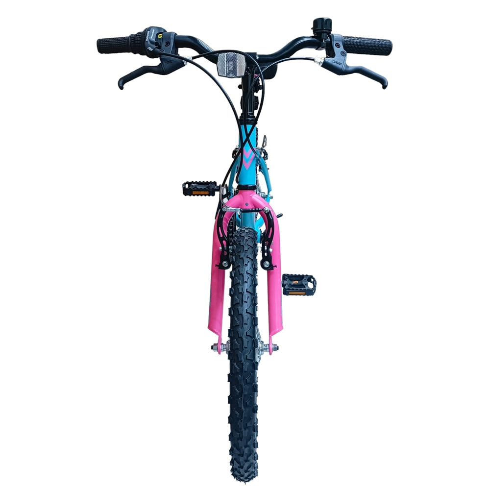 20 Inch Verve Zenith Gx20 Bike