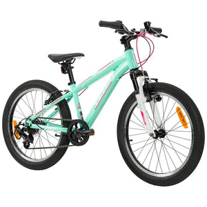 20 Inch Team Mountain Bike In Mint And Pink