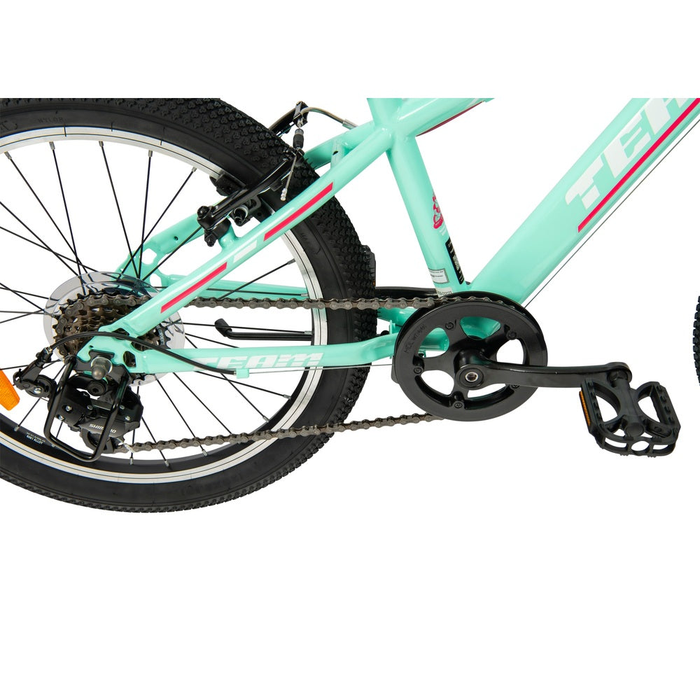 20 Inch Team Mountain Bike In Mint And Pink